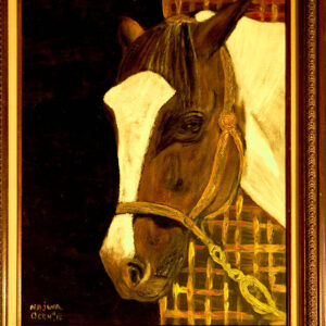 Brown Horse Hunry