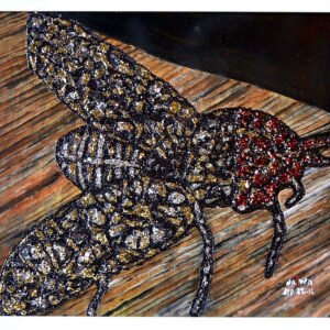 Diamond Fly