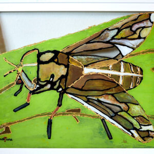 Fearless Fly