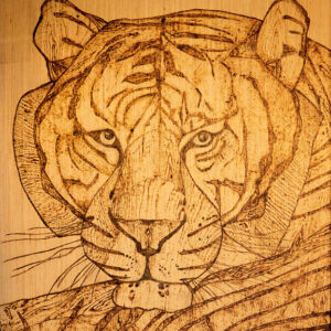 Fortunate Tiger